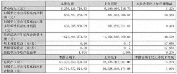 配资策略平台 大华股份2025Q1财报: 营收62.56亿元, 净利6.53亿